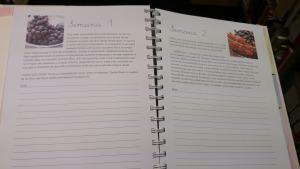 Diarios de Embarazo DSC_0232