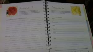 Diarios de Embarazo DSC_0233