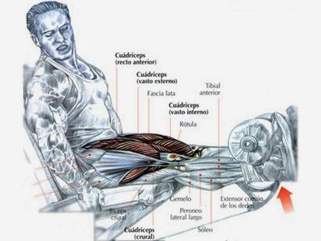Maratón de Madrid 2014 - Semana 8, 2 Ciclo de volumen (II) - Diario de entrenamiento Maratón de Madrid 2014 - Semana 8, 2 Ciclo de volumen (II) - Diario de entrenamiento
