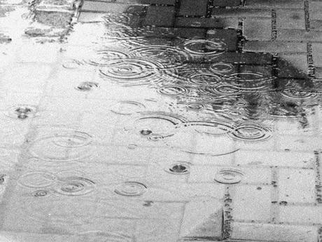 Maratón de Madrid 2014 - Semana 8, 2 Ciclo de volumen (II) - Diario de entrenamiento Maratón de Madrid 2014 - Semana 8, 2 Ciclo de volumen (II) - Diario de entrenamiento