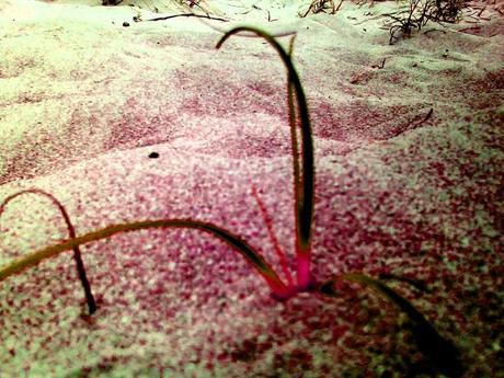 10 REGLAS BÁSICAS PARA EMPRENDER