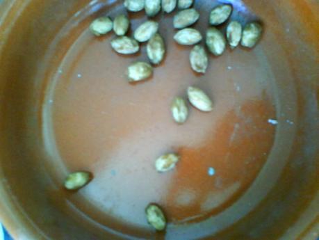 ALMOHADA DE CALOR CON HUESOS DE ACEITUNA