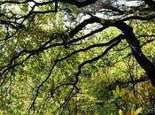 Verdades mentiras animales cine