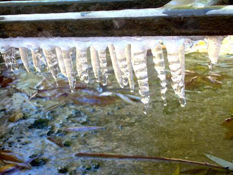 TODO LO QUE NECESITAS SABER SOBRE EL DOLOR DE CABEZA Y CÓMO TRATARLO DE FORMA NATURAL TODO LO QUE NECESITAS SABER SOBRE EL DOLOR DE CABEZA Y CÓMO TRATARLO DE FORMA NATURAL