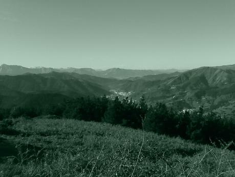 STIEG LARSSON DESPUÉS DE MILLENIUM