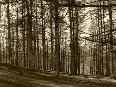 ADORO A STEPHEN KING: MIS 10 LIBROS FAVORITOS