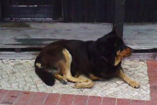 ADORO A STEPHEN KING: MIS 10 LIBROS FAVORITOS