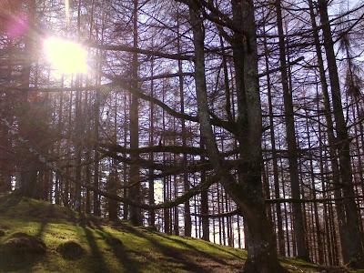 ADORO A STEPHEN KING: MIS 3 COLECCIONES FAVORITAS