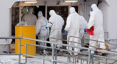 Un Virus con Glamour