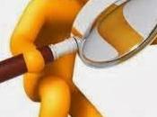 Diseño Equipamiento (IV) Valoración Puesta Obra