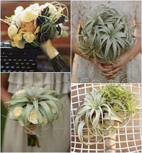 wedding inspiration. Air plants bride's bouquet