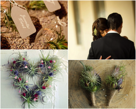 wedding inspiration. Air plants