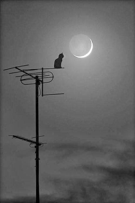 SOY EL PRIMERO QUE BUSCA...