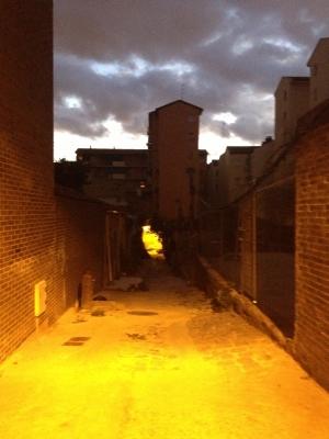 Vista del Pasjae de Cavanilles desde su entrada, Madrid