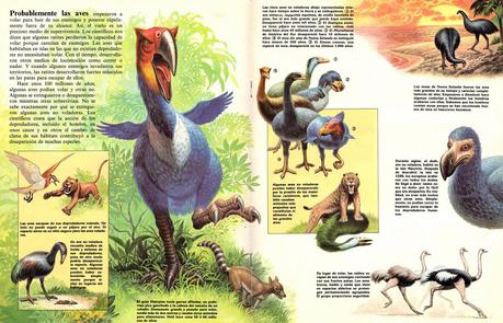 ZOOBOOKS: Antepasados de las ratites