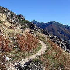 sendero_montaña_s El camino más trillado