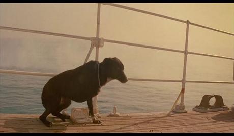 The Life Aquatic with Steve Zissou - 2004