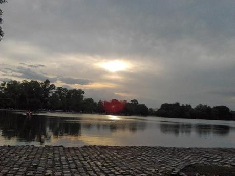 Amar la poesía es amar la vida