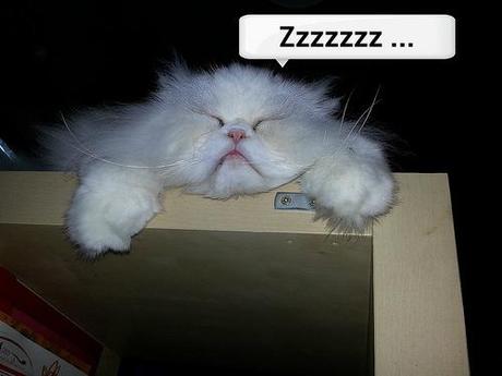 estamos tan agustito