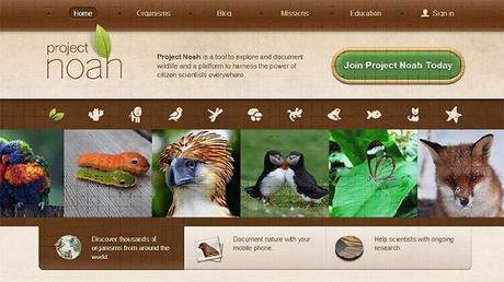 Proyecto Noah: una herramienta para explorar y documentar la biodiversidad