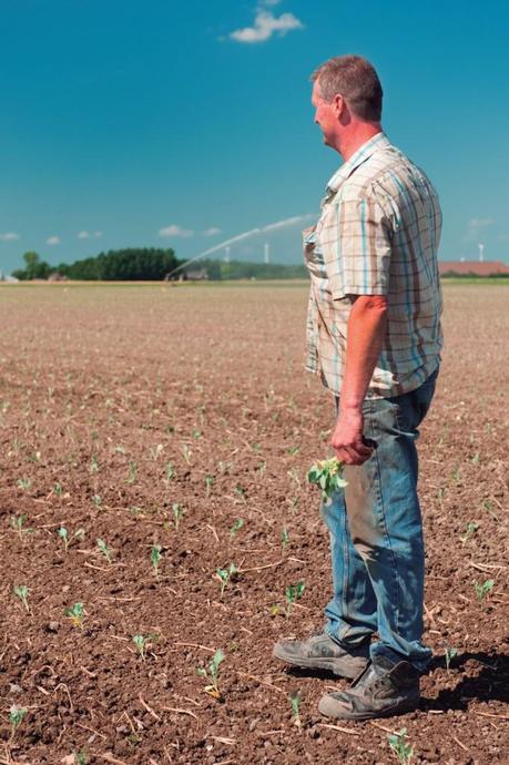 alimentos ecológicos