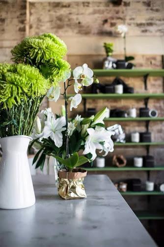 Un soplo de aire fresco Un soplo de aire fresco