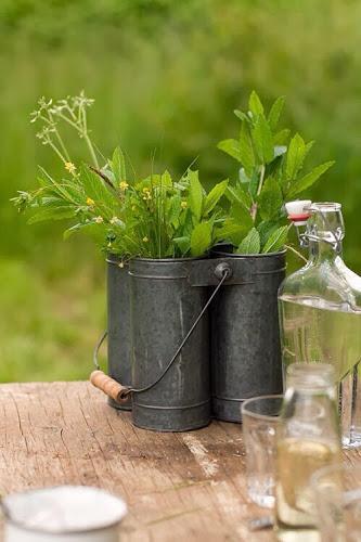 Un soplo de aire fresco Un soplo de aire fresco