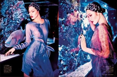 Beauty From Beneath The Sea