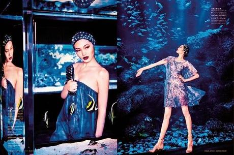 Beauty From Beneath The Sea