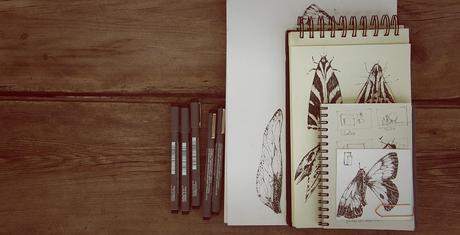 RAÚL DEL SOL EN RUGHARA