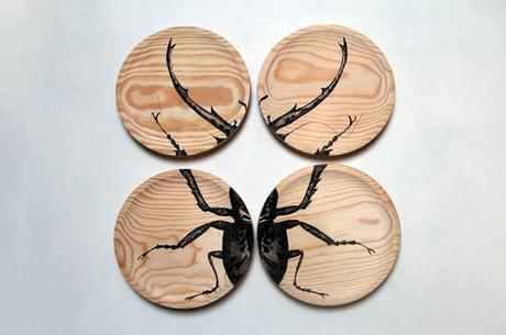 RAÚL DEL SOL EN RUGHARA