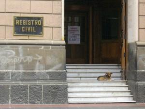 #registro civil