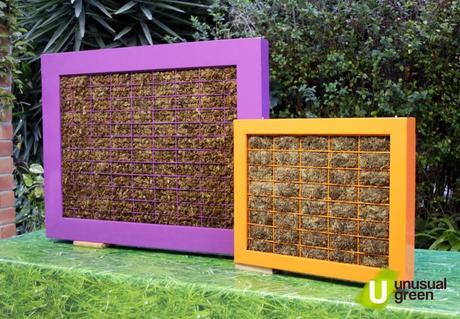 Cuadros vegetales. Cuadros vivos, jardines verticales