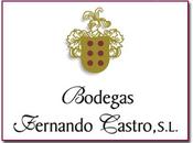 Bodegas Fernando Castro, galardonado premios “Sakura” Japan Women’s Wine Awards 2014