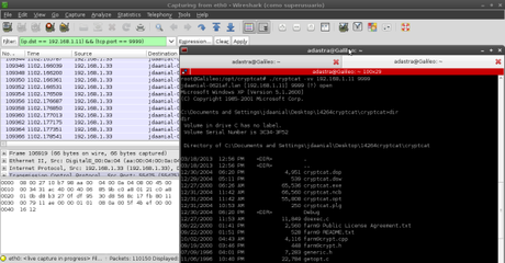 cryptcatwireshark