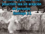 Basta prejuicios