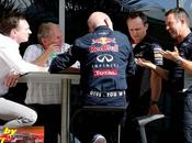 Lauda subestima bull