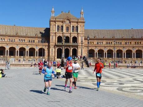 Medias de compresión Daitri Medias de compresión Daitri
