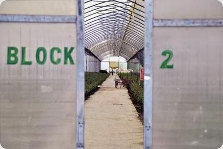 Lo mejor de El Mundo de Skizzo: los 10 posts más leídos en el mes de Febrero de 2014.