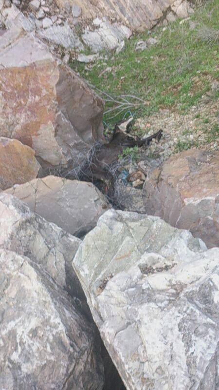 HALLADO GALGO AHORCADO EN LA SIERRA DE LOS SANTOS DE MAIMONA. (BADAJOZ)