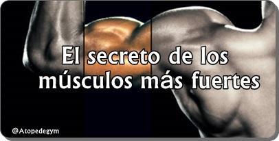 El secreto de los músculos más fuertes