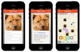 App para perros perdidos