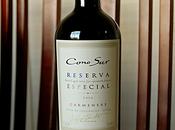 Cono Reserva Especial Carmenere 2010