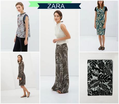 ¿ Pondrás una palmera en tu vida?