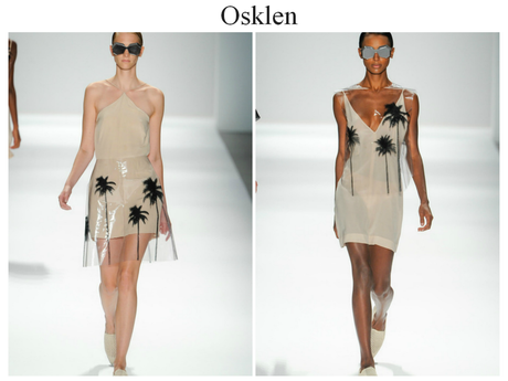 ¿ Pondrás una palmera en tu vida?