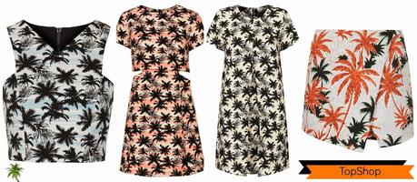 ¿ Pondrás una palmera en tu vida?