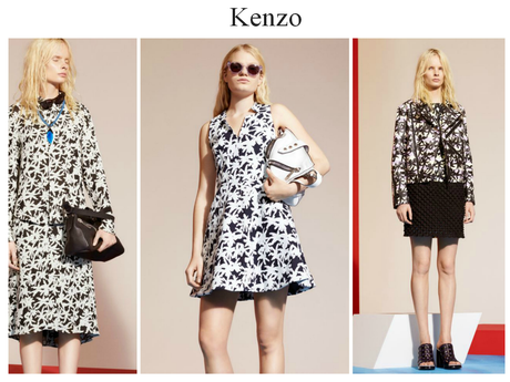 ¿ Pondrás una palmera en tu vida?