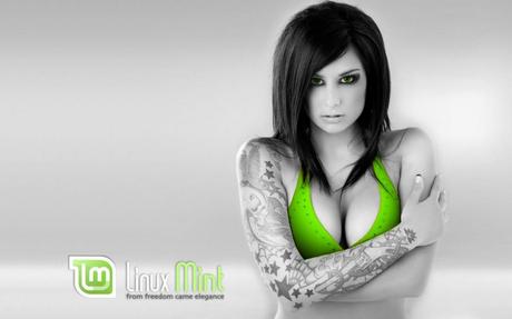 linuxMint is sexy