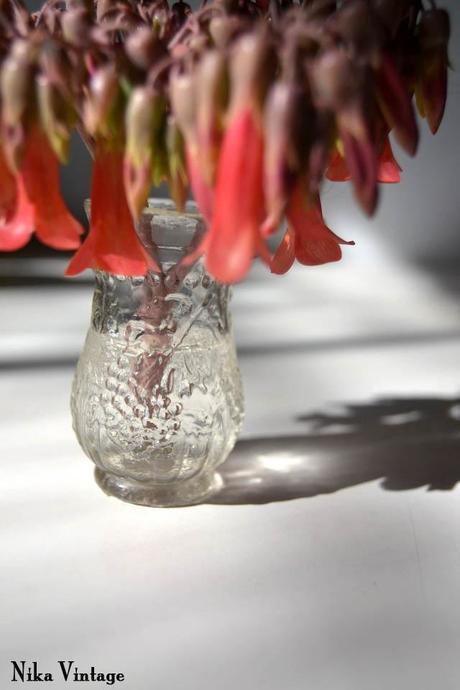 Blog hop, macro del dia ... Sombras