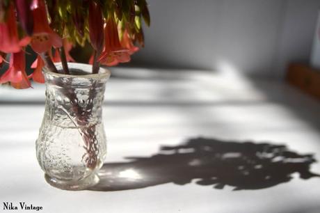 Blog hop, macro del dia ... Sombras